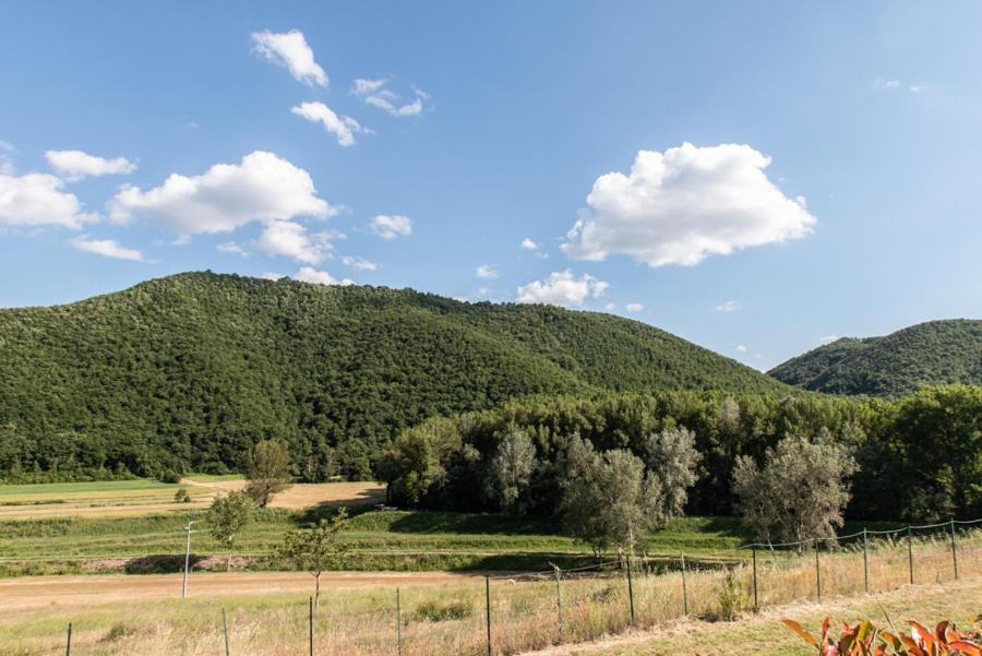 Il Colombaio Agriturismo Montegabbione Extérieur photo