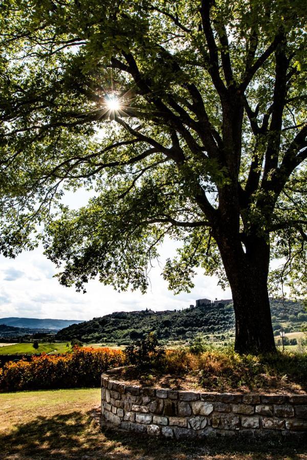 Il Colombaio Agriturismo Montegabbione Extérieur photo